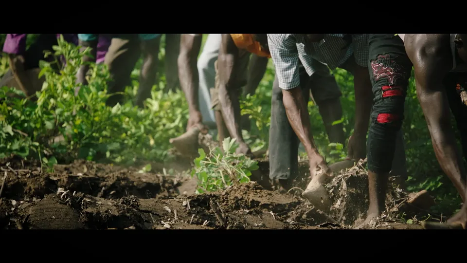 The Great Green Wall